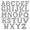 Phone case add-on purchase - Silver initial